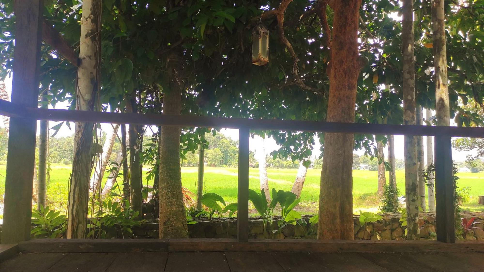 판타이체낭 S'Ekar Pinang Langkawi B&B 외부 사진