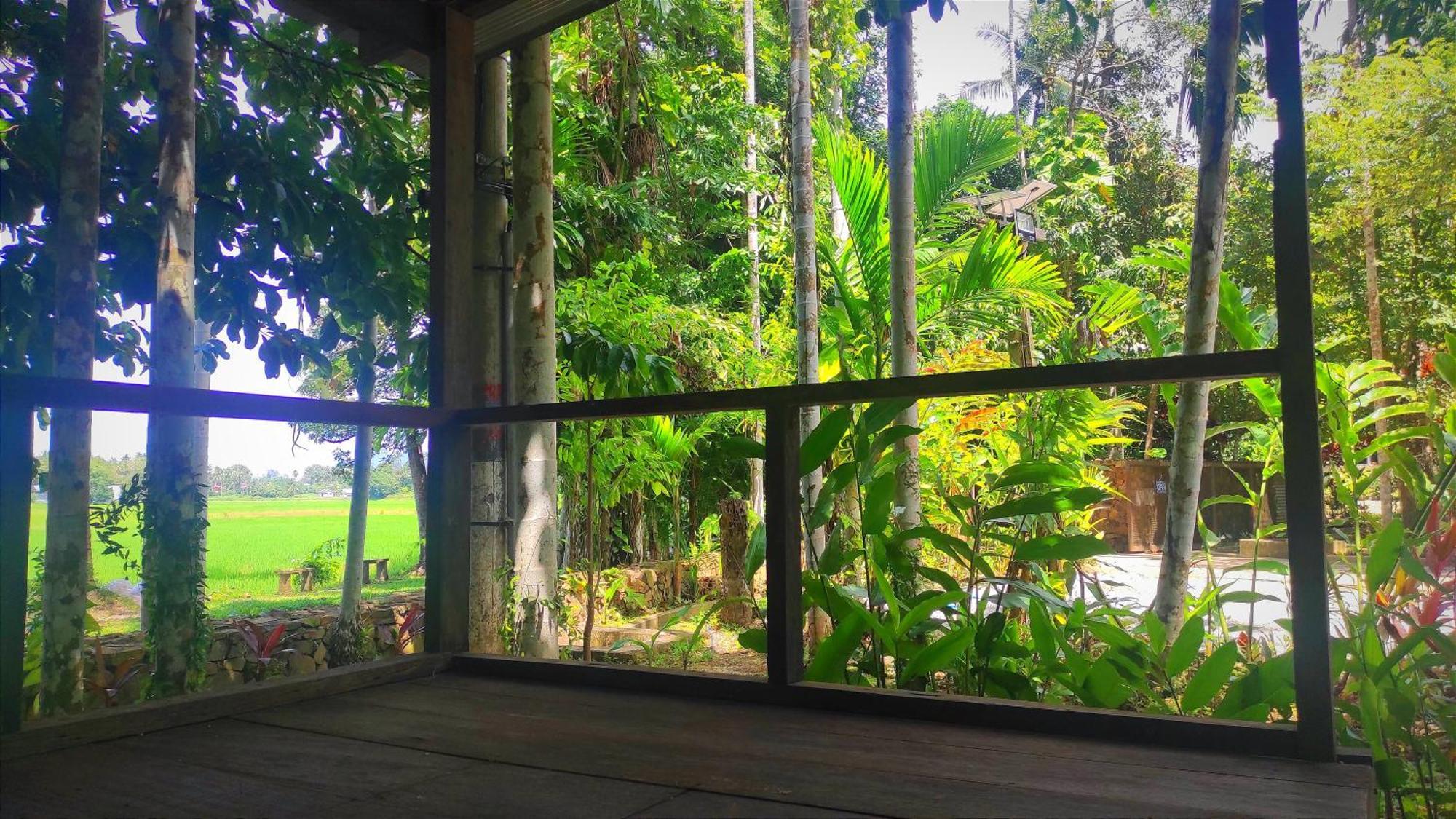 판타이체낭 S'Ekar Pinang Langkawi B&B 외부 사진