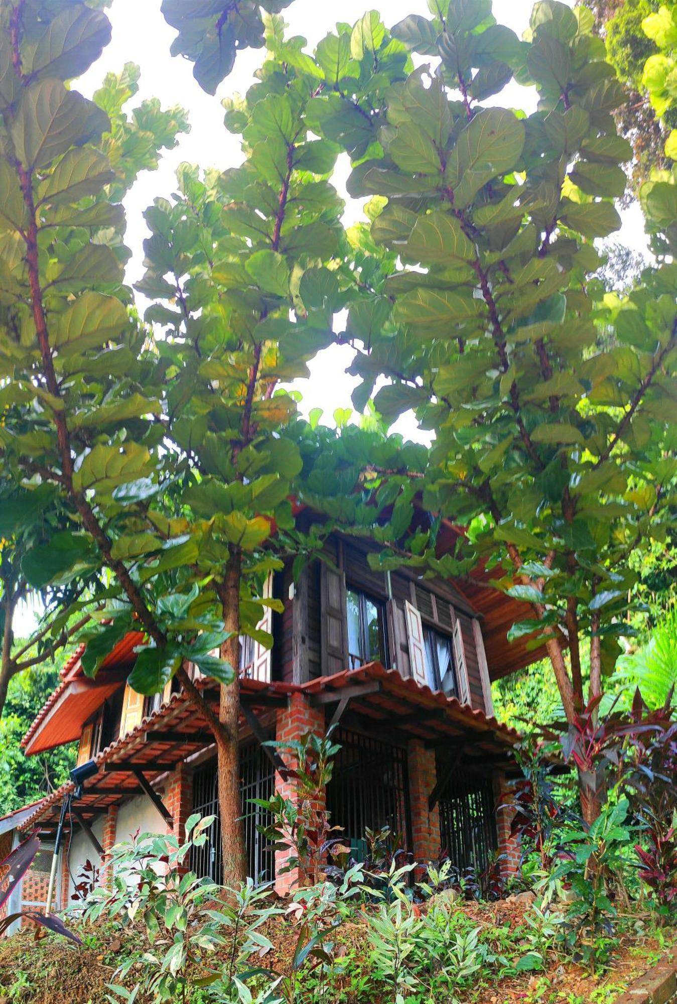판타이체낭 S'Ekar Pinang Langkawi B&B 외부 사진