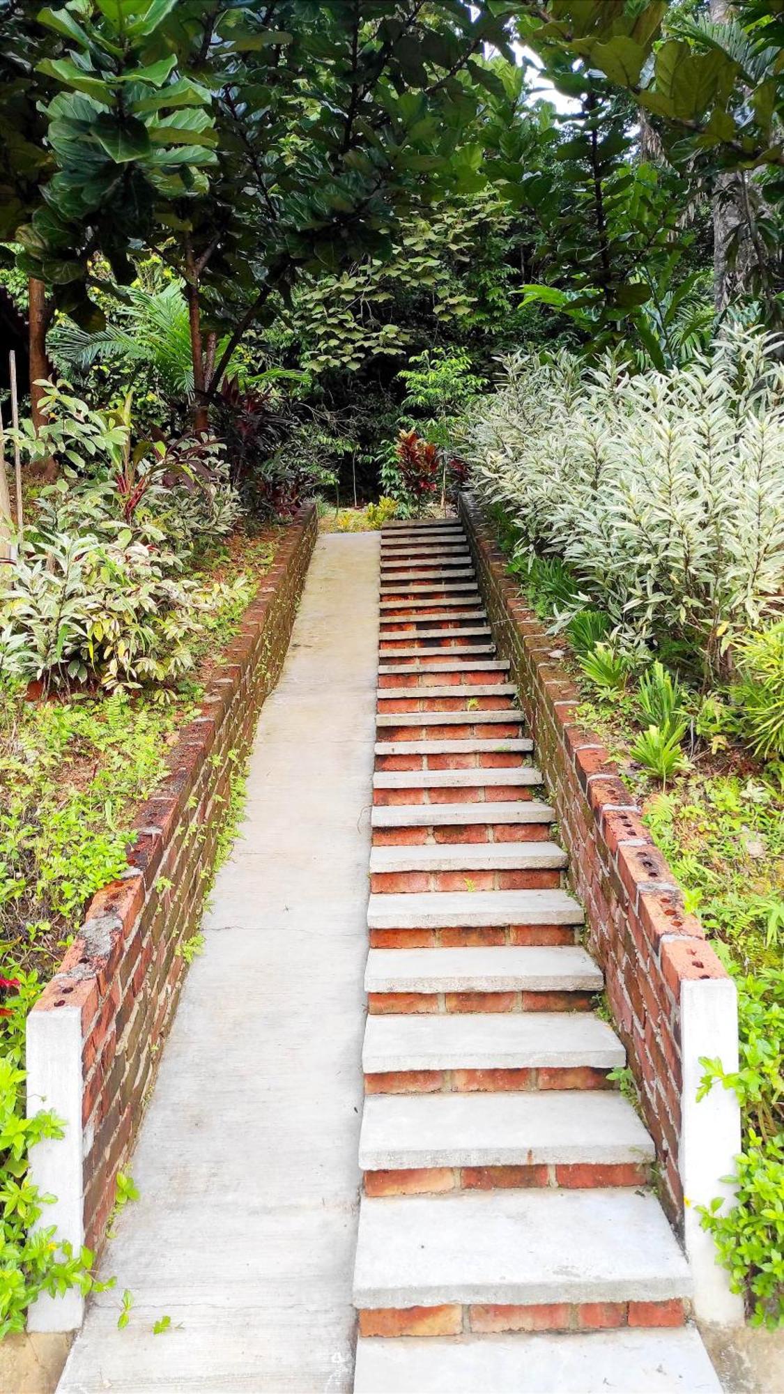 판타이체낭 S'Ekar Pinang Langkawi B&B 외부 사진