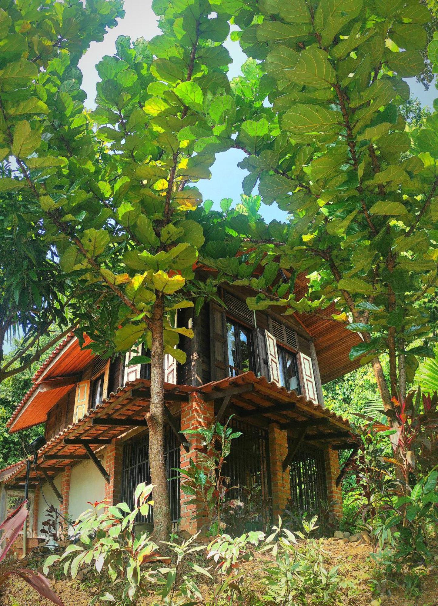 판타이체낭 S'Ekar Pinang Langkawi B&B 외부 사진
