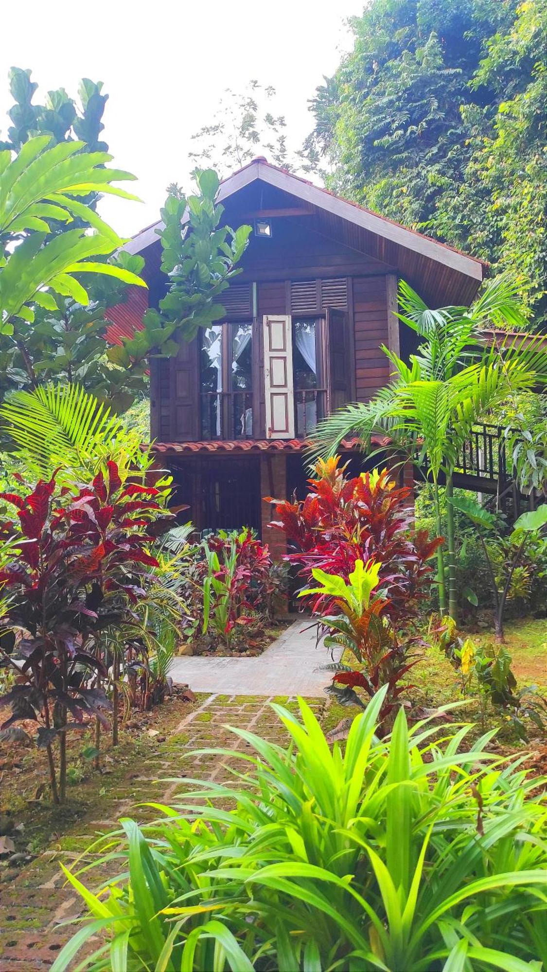판타이체낭 S'Ekar Pinang Langkawi B&B 외부 사진