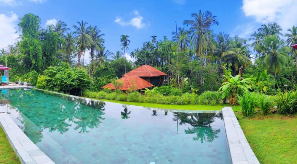 판타이체낭 S'Ekar Pinang Langkawi B&B 외부 사진